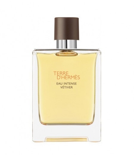 Terre d''Hermès Eau Intense Vetiver - Eau de Parfum - 50 ml'