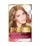 Excellence Creme Crema Colorante 7.3 Biondo Dorato