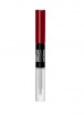 Deborah Rossetto Absolute Lasting Liquid Lipstick n.19