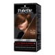 Palette colorazione Professional Performance 5_24 MARRON GLACE
