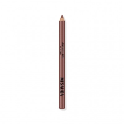 MESAUDA ARTIST LIPS 101 Fudge