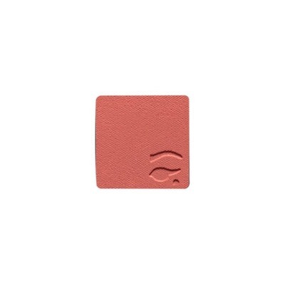 Eyeshadow refill BBQ