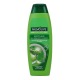 Shampoo Aloe Vera-Capelli Normali 350 Ml