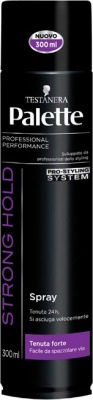 Palette Spray Strong Hold 300 Ml