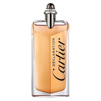 Declaration Parfum - Eau de Parfum 100 ml