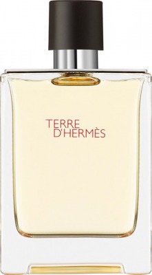 Terre dHermes - Eau de Toilette 100 ml