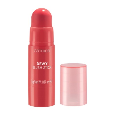 Dewy Blush In Stick 010 sheen on you