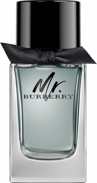 Mr. Burberry - Eau de Toilette 100 ml